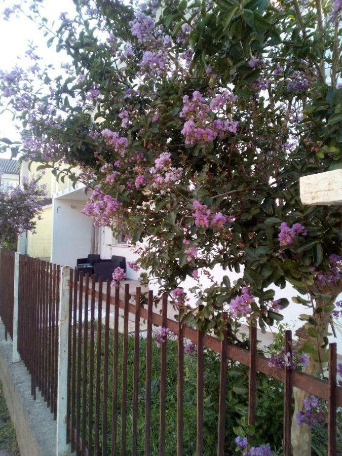 The Judas Trees Mestre Ngoại thất bức ảnh